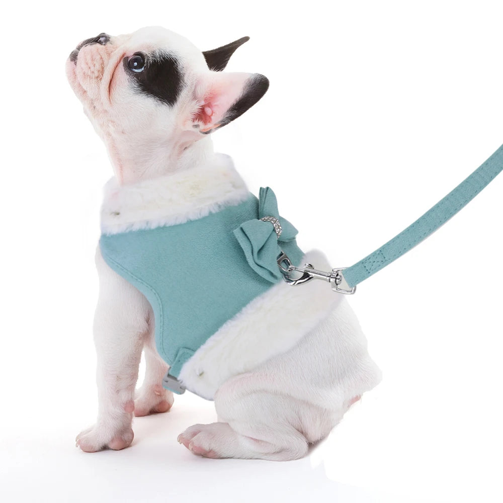 Warm Winter Dog Harness and Leash Set