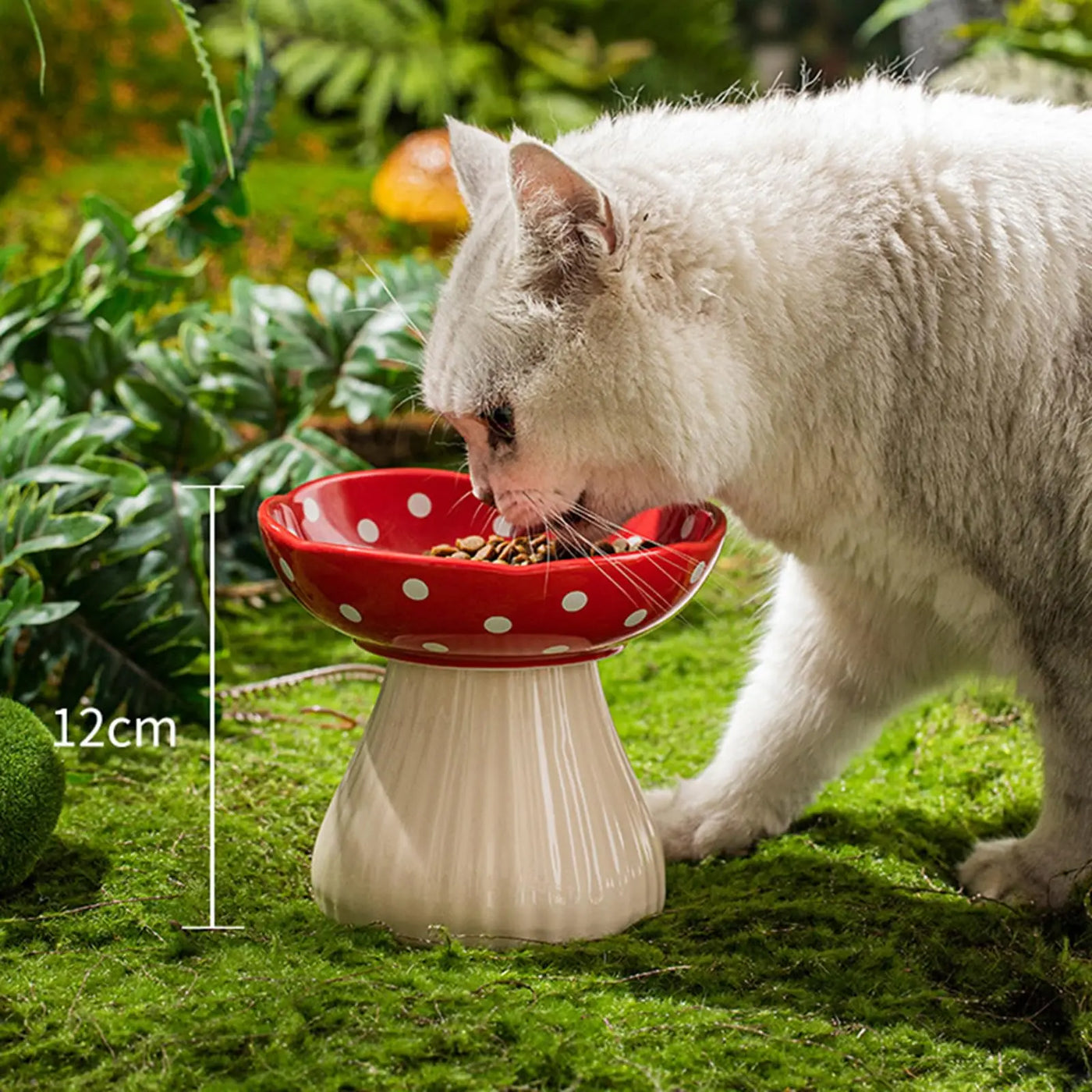 6 Inch Mushroom Cat Bowl Ceramic