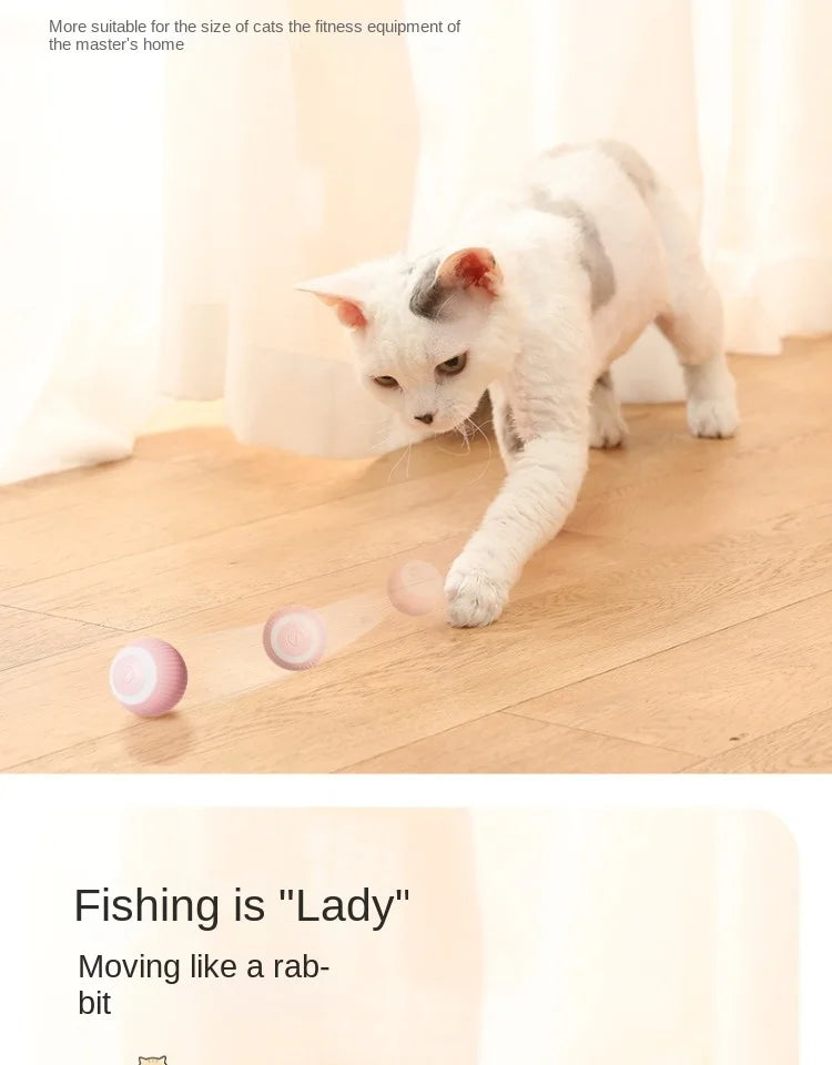 Cat Toy Indoor Automatic Rolling Magic Ball