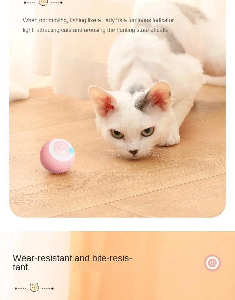 Cat Toy Indoor Automatic Rolling Magic Ball