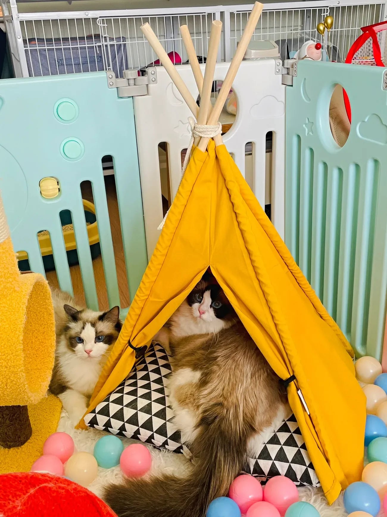 Pet Tent House Cat Dog Bed