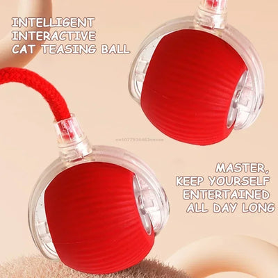 Electric Cat Ball Toys