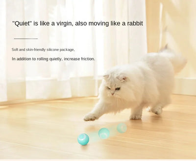 Cat Toy Indoor Automatic Rolling Magic Ball