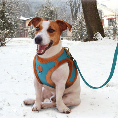 Winter Dog Harness and Leash Set Warm