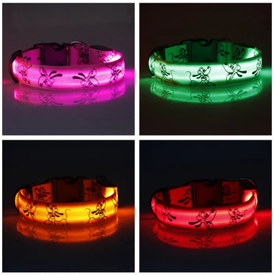 Led Glow Dog Collar