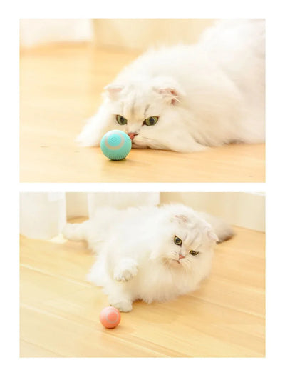 Cat Toy Indoor Automatic Rolling Magic Ball