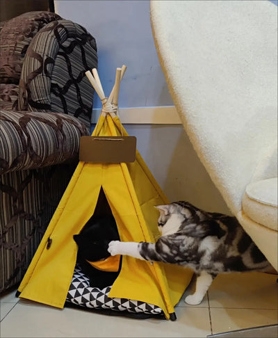 Pet Tent House Cat Dog Bed