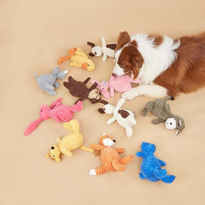 Plush Dog Toys