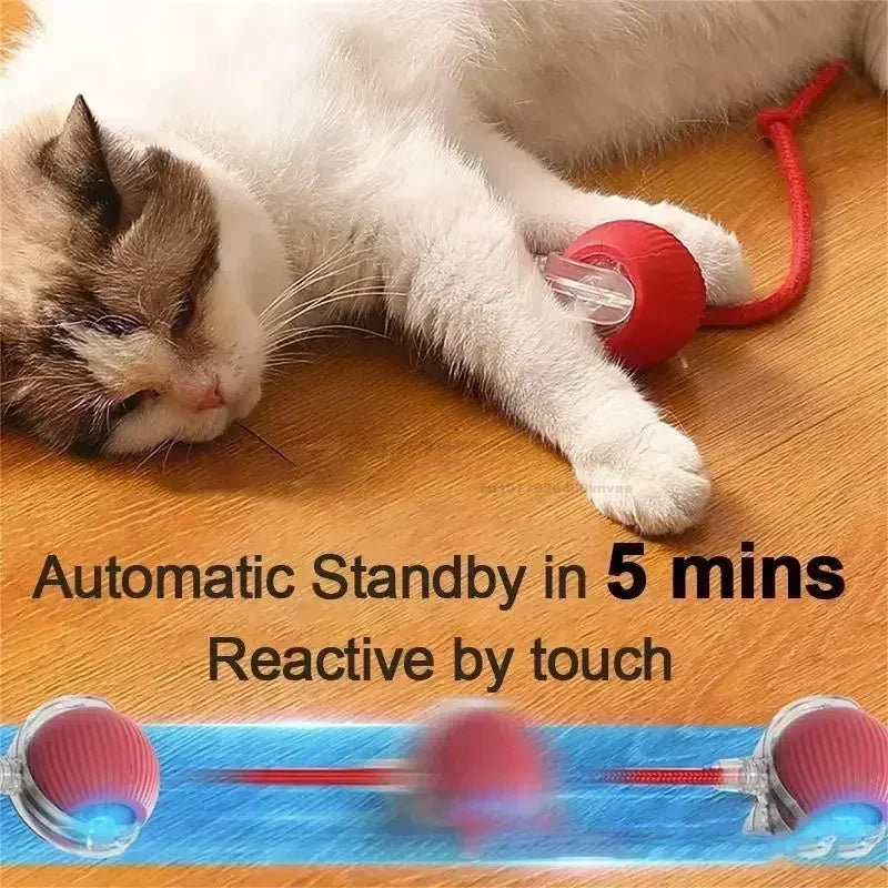 Electric Cat Ball Toys