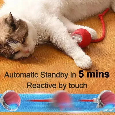 Electric Cat Ball Toys