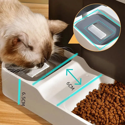 Large Capacity Automatic Cat Food Dispenser Drinking Water Bowl