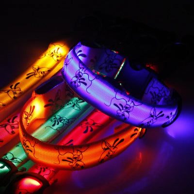 Led Glow Dog Collar