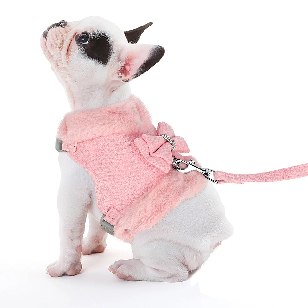 Warm Winter Dog Harness and Leash Set