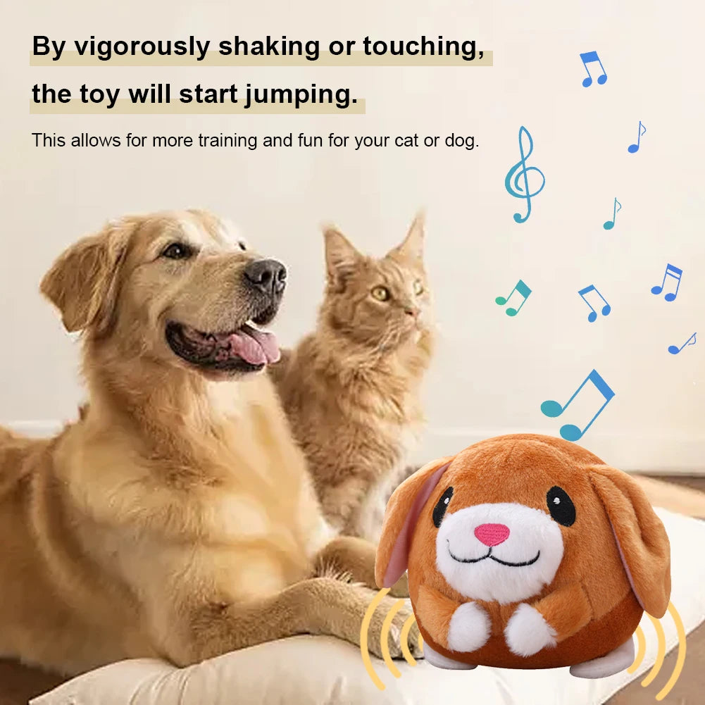 Singing Animal Plush Toy