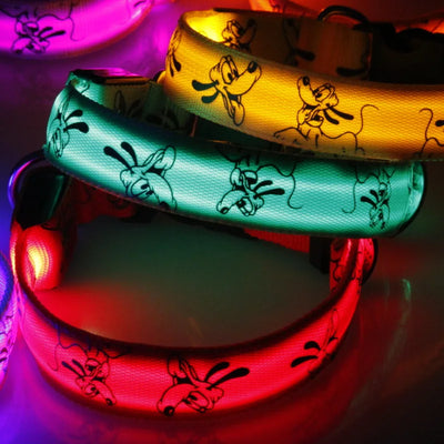 Led Glow Dog Collar