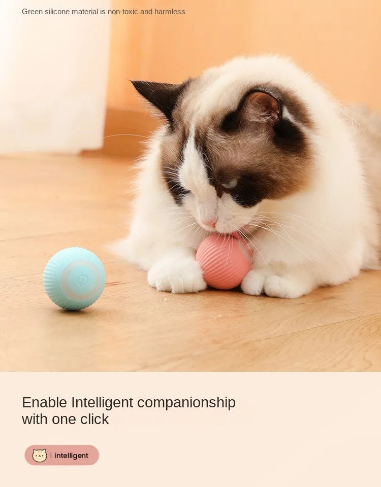 Cat Toy Indoor Automatic Rolling Magic Ball