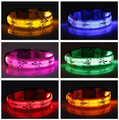 Led Glow Dog Collar