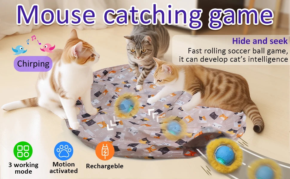 ATUBAN Interactive Cat Toys Ball Fast Rolling in Pouch