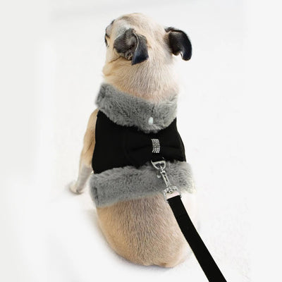 Warm Winter Dog Harness and Leash Set