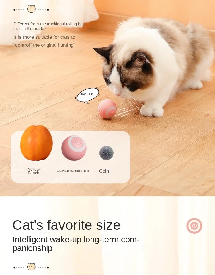 Cat Toy Indoor Automatic Rolling Magic Ball