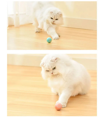 Cat Toy Indoor Automatic Rolling Magic Ball